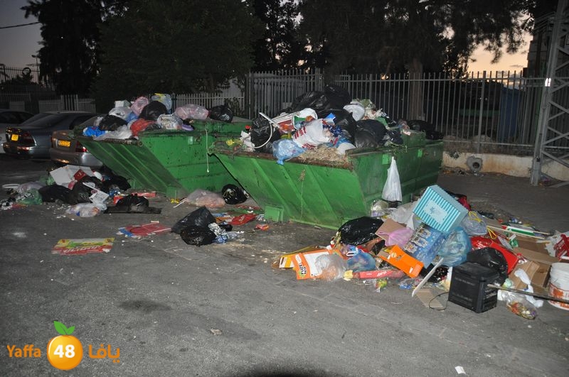 trash lud 907 (8).JPG